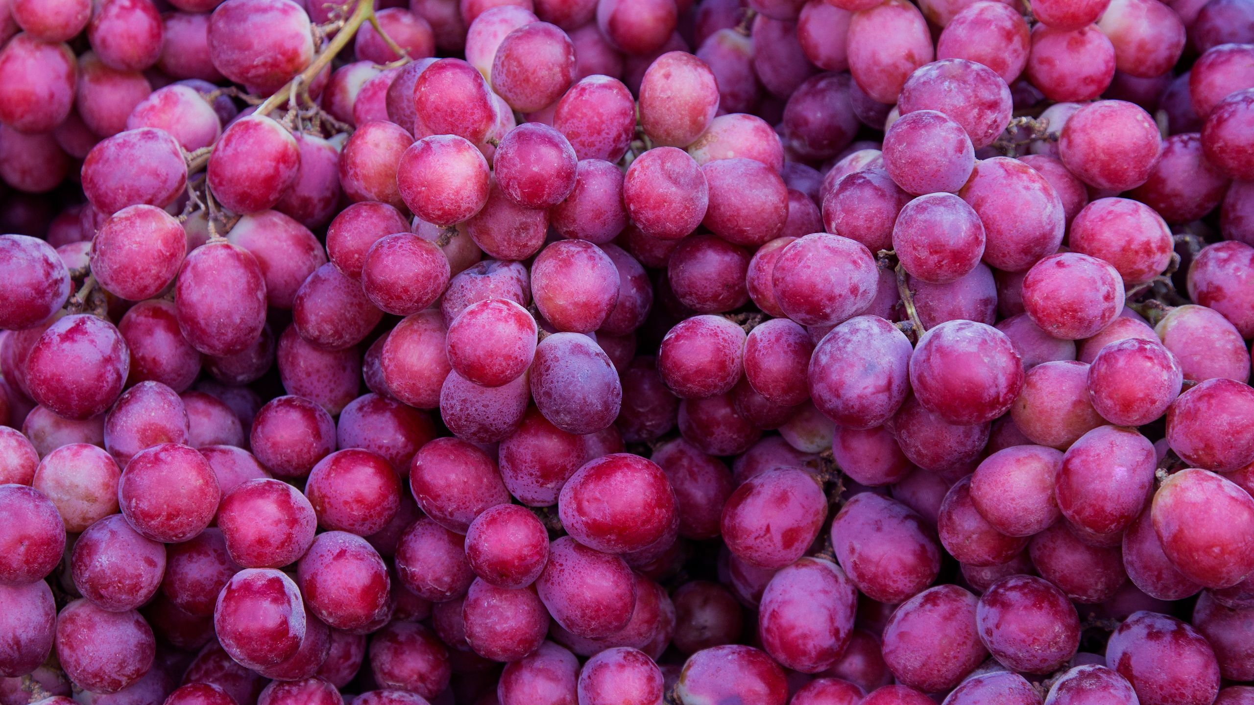 An upclose shot of red grapes
